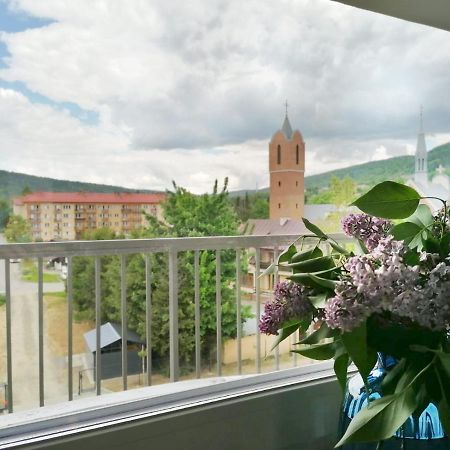 Apartament Gromadzyn 39 Ustrzyki Dolne Bagian luar foto