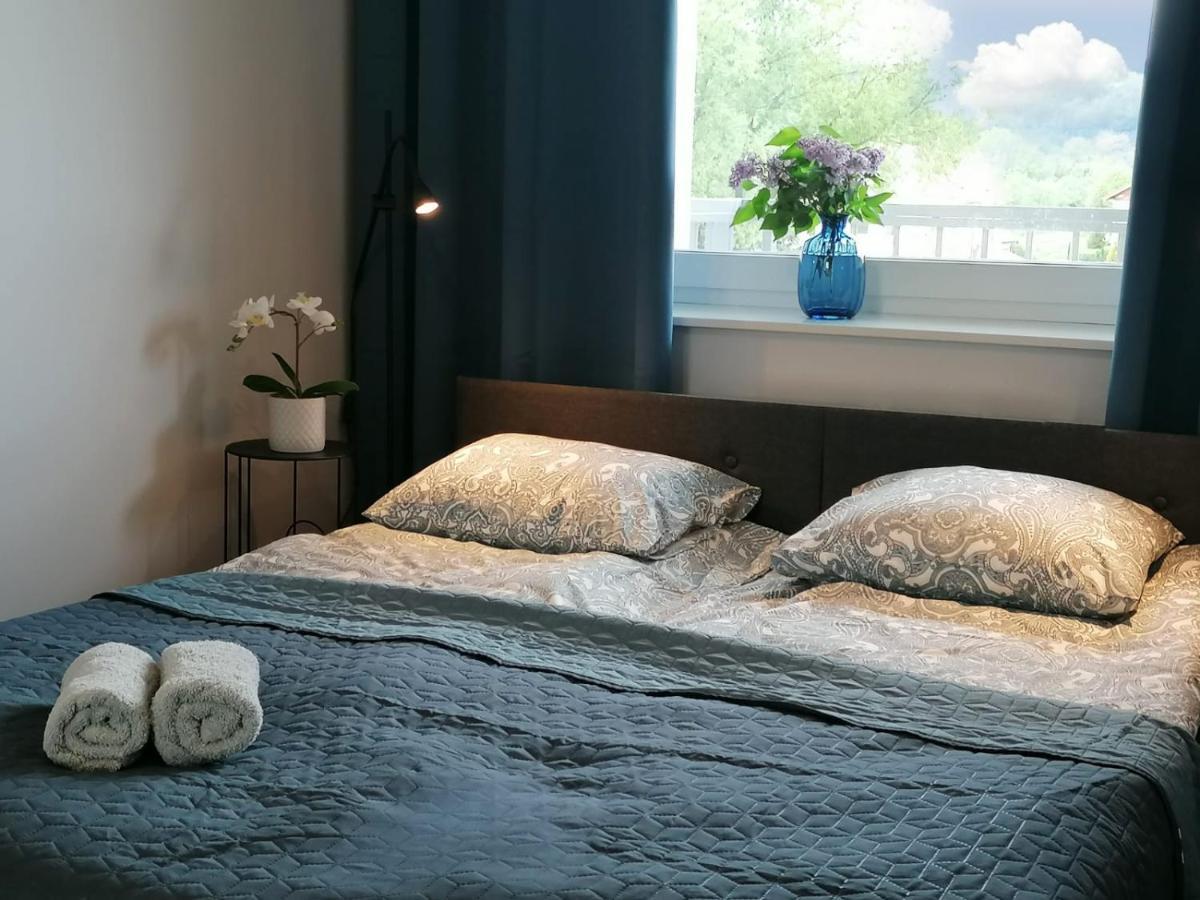 Apartament Gromadzyn 39 Ustrzyki Dolne Bagian luar foto